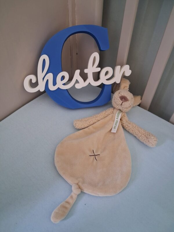gepersonaliseerd-naamdecor-met-initiaal-chester.jpg Gepersonaliseerd naamdecor met initiaal – Customiz3D
